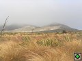 thn_Steward Island 016.jpg